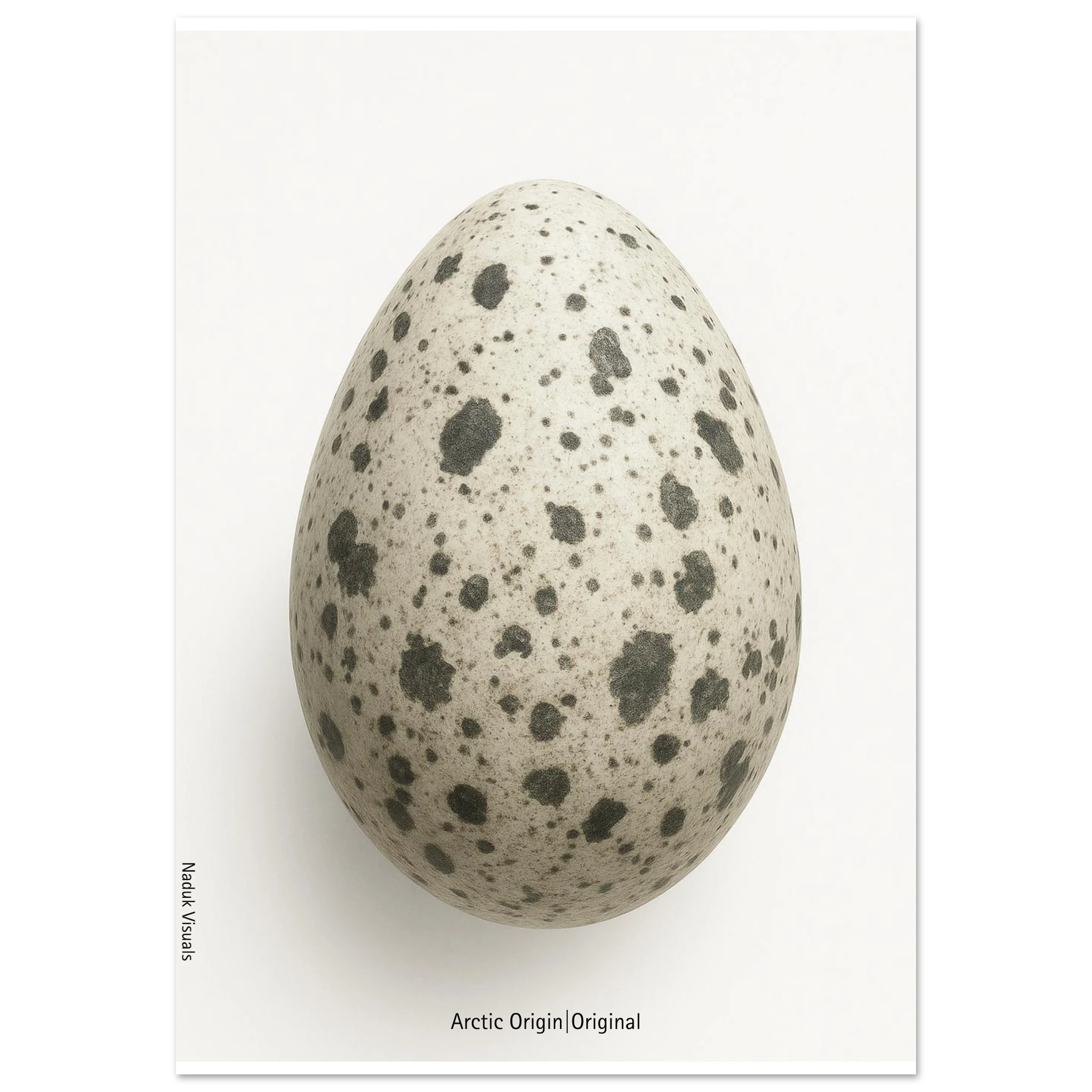 0ce51fe1-e3d4-439b-8fdb-a0c4adea12ef