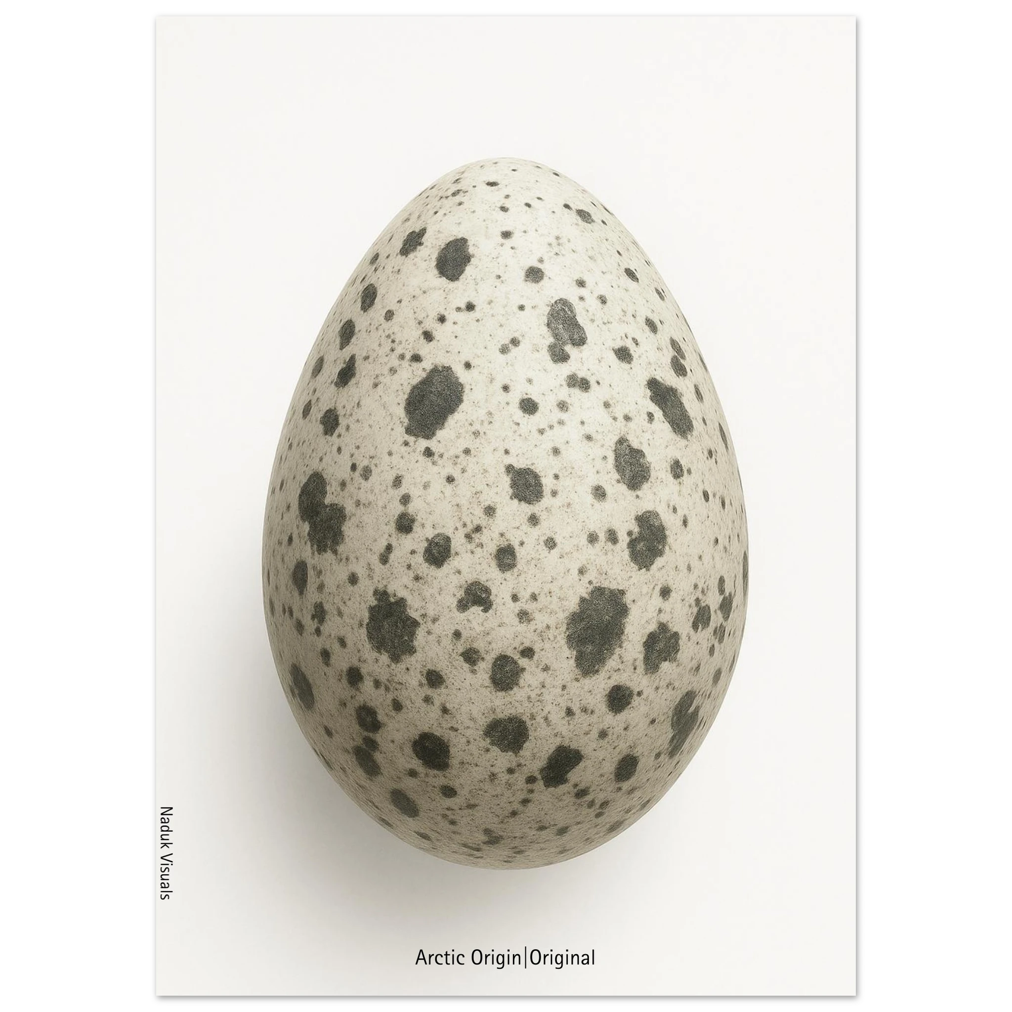 2daeea74-aeb4-460b-84aa-fcae24e7ec30