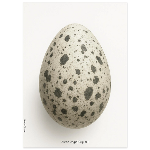 2daeea74-aeb4-460b-84aa-fcae24e7ec30