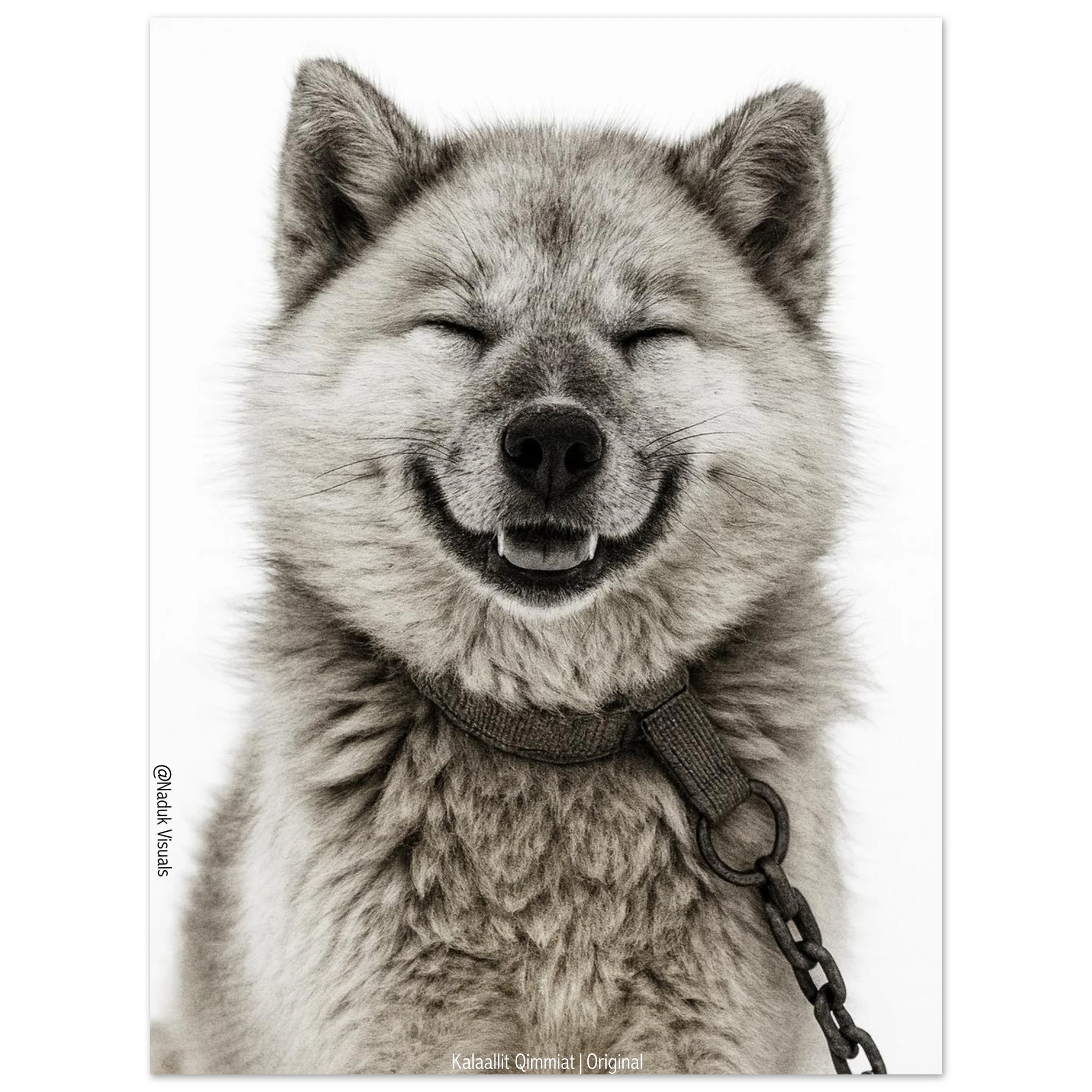 830cc67d-821d-43f6-b6d3-6e3d2df87868