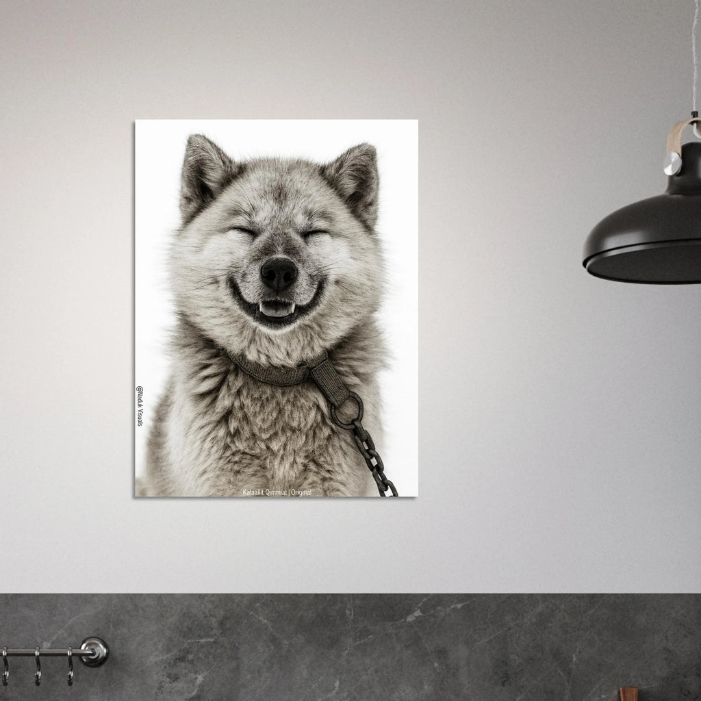 b081d171-1683-4cb9-9eba-c6bc37d6538c