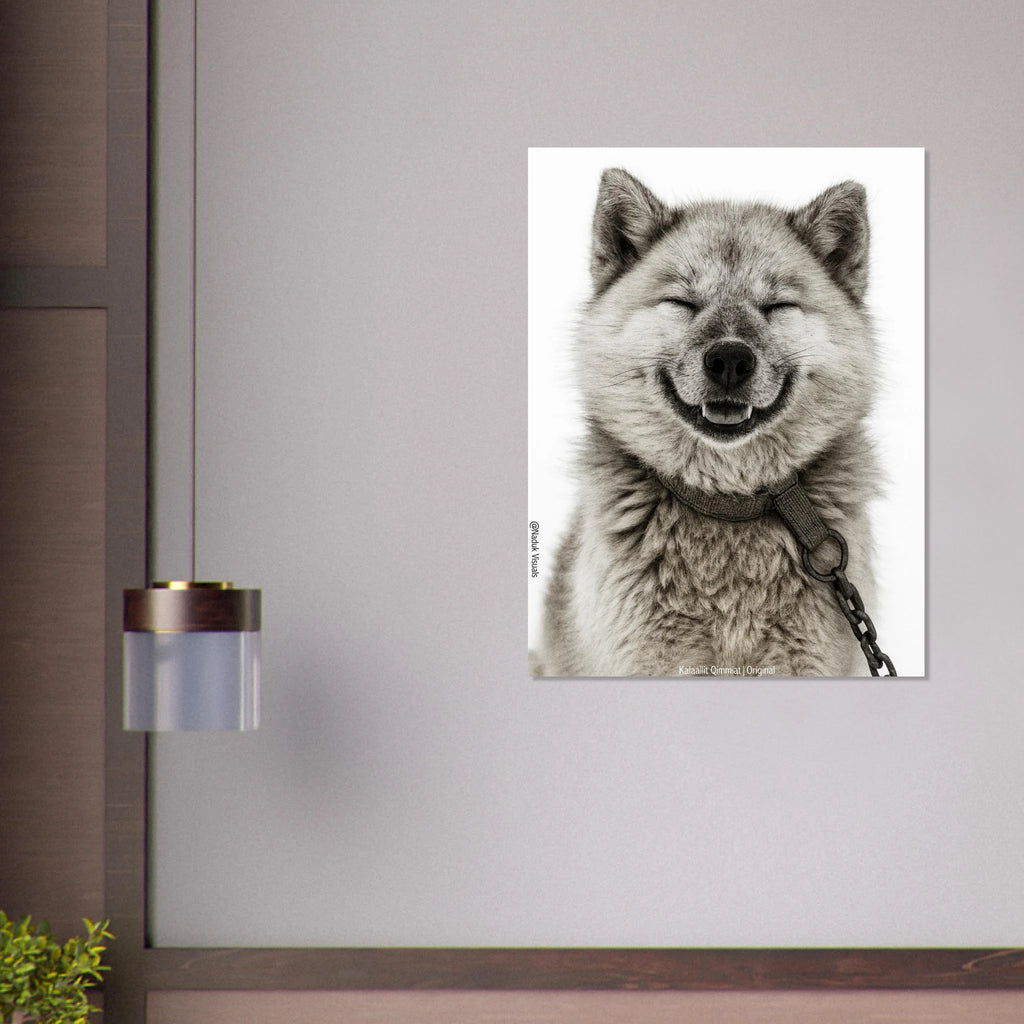 b0b5d4d4-14ce-48d8-9da0-dedc7bca1661