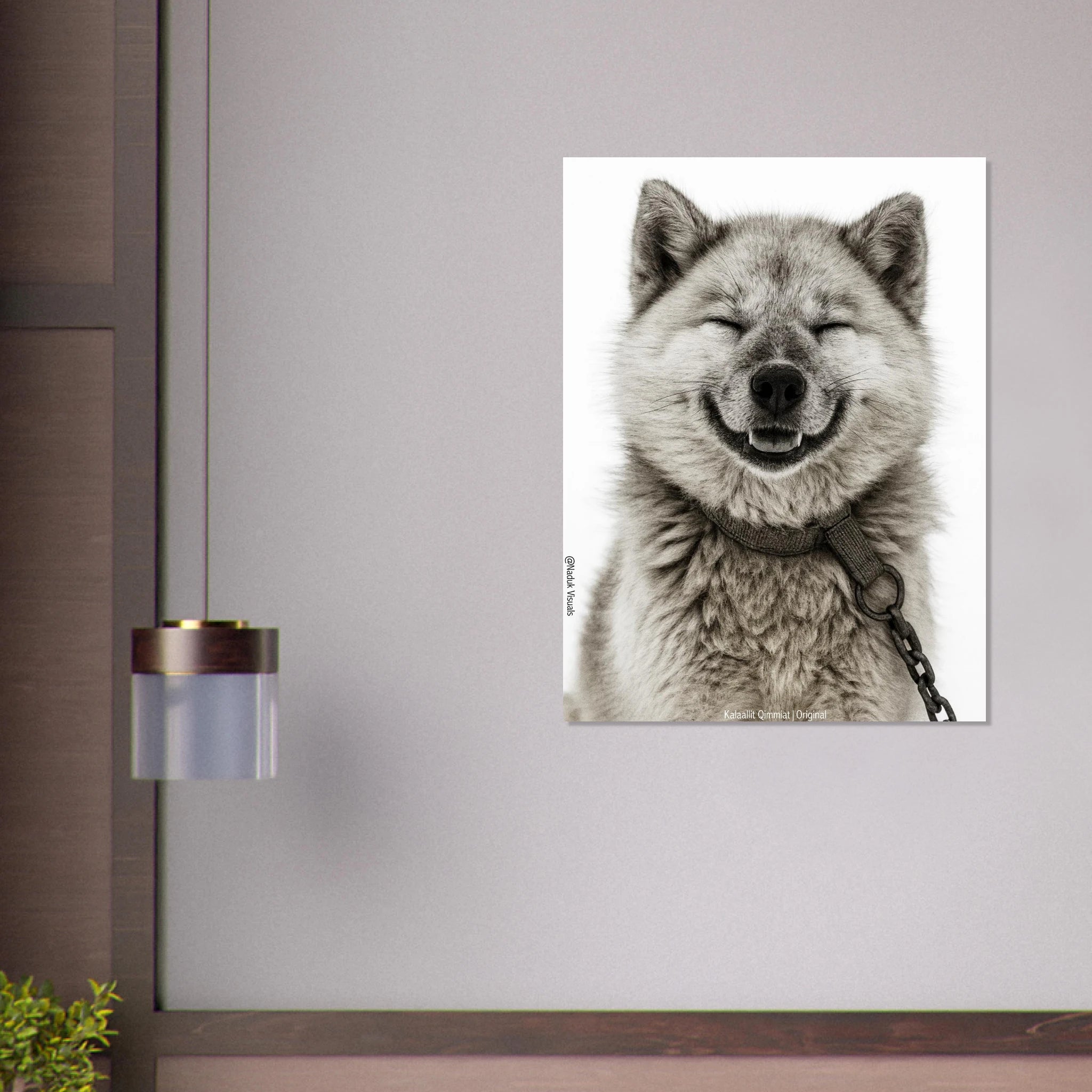 b0b5d4d4-14ce-48d8-9da0-dedc7bca1661