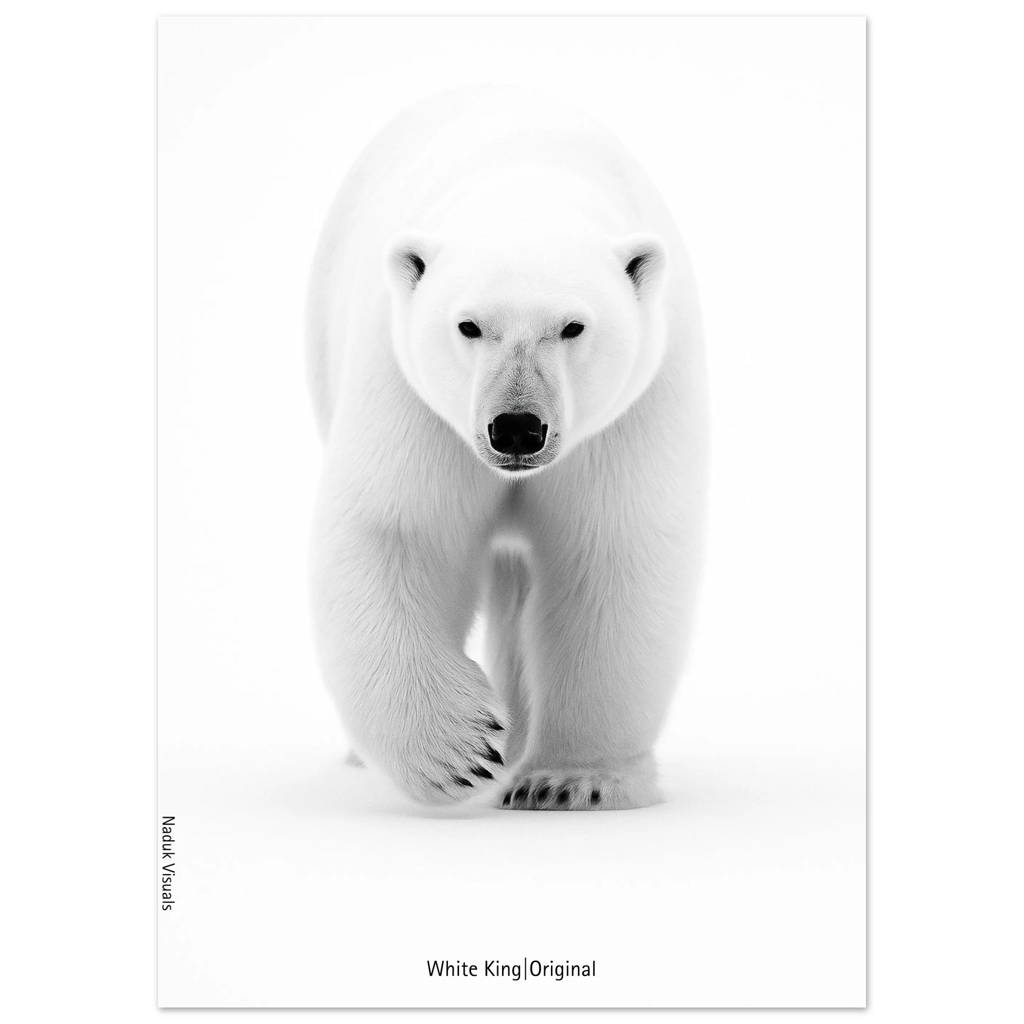 d1847e8c-426e-4183-81bb-7e92ef42d7ed